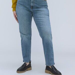 NWT Everlane Curvy Cheeky Jean - Worn-In Mid Blue - 28 Regular
